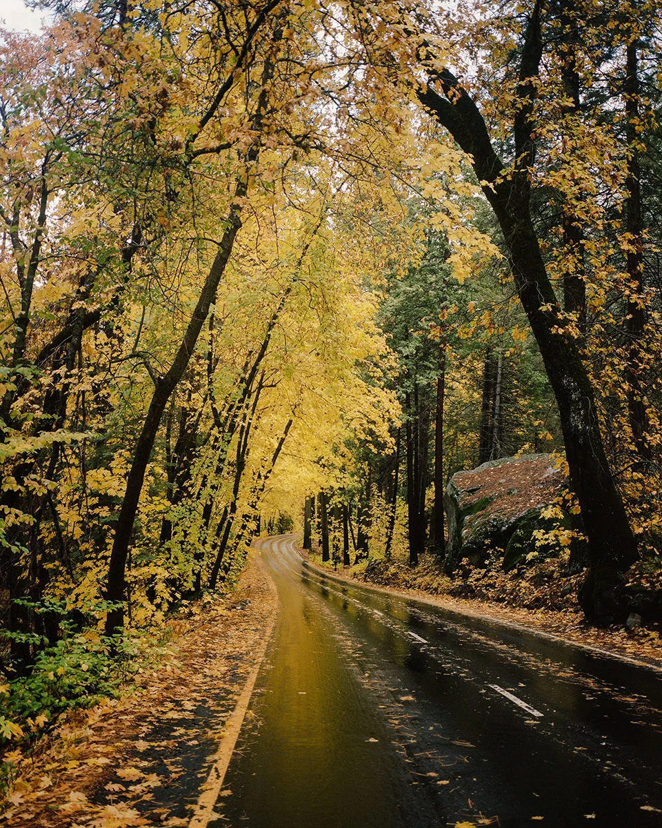 Jake-Tovar-Yosemite-Valley-Photo-Essay-14