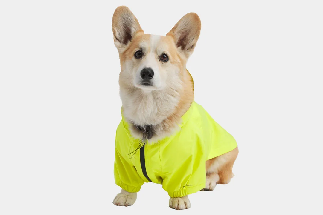 backcountry-petco-dog-rain-jacket-sulpher-spring