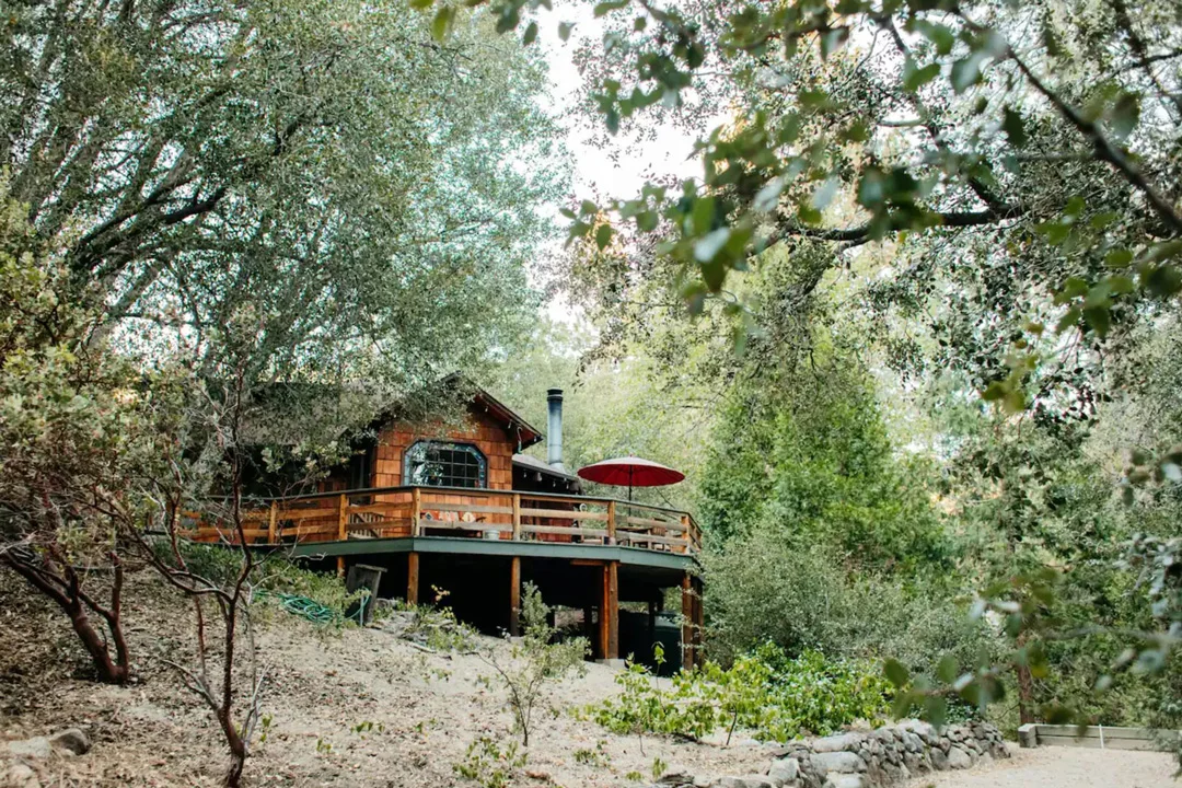 fox-and-leopard-treehouse-idyllwild-pine-cove-california