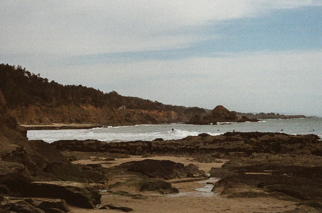 Rood-Northern-California-Vanlife-3