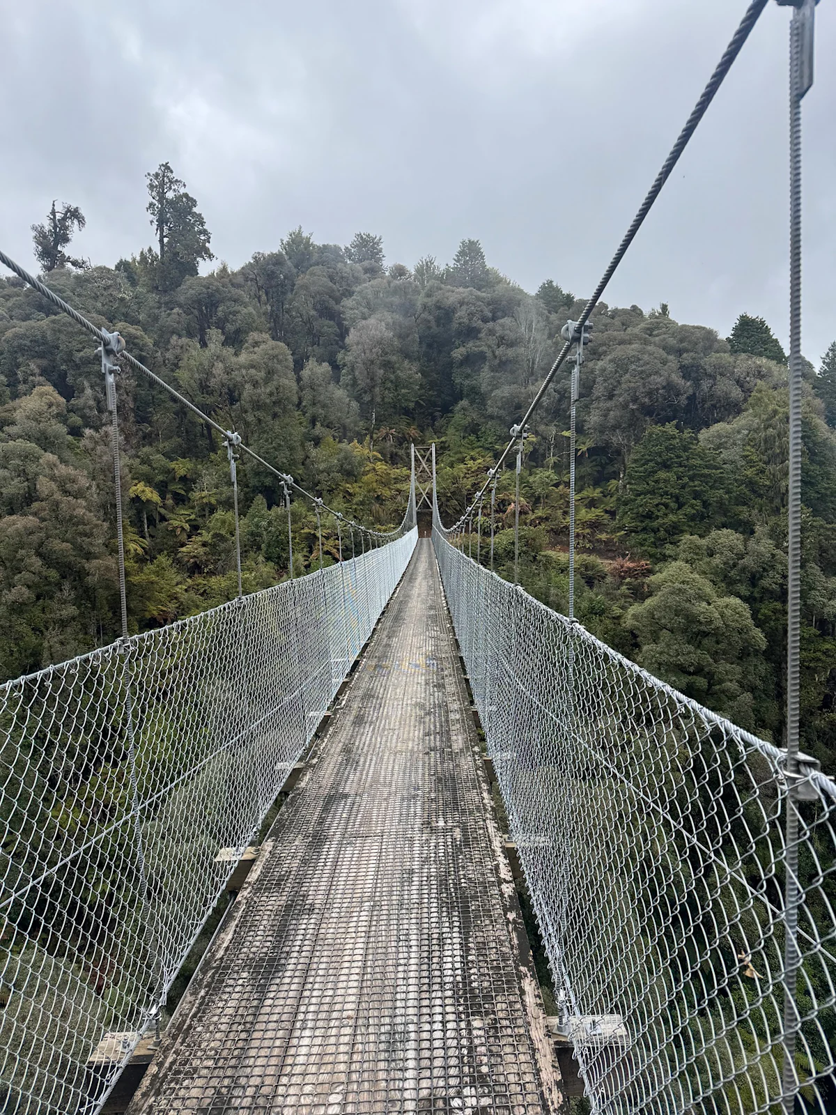 daniel-varghese-timber-trail-suspension-bridge-crossing-vertical