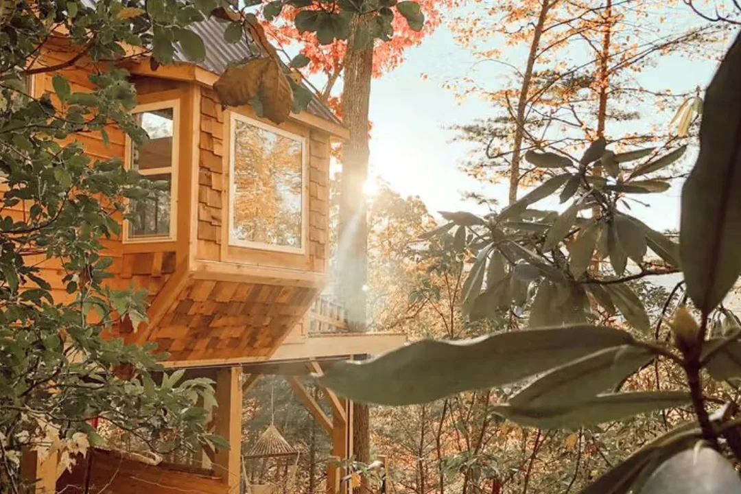 earth-friendly-treehouse-canton-north-carolina