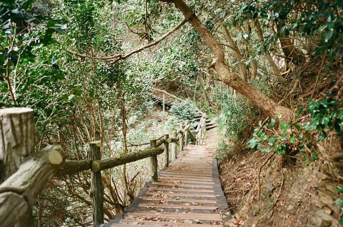 Michinoku-Coastal-Trail-Winter-Guide-Ooshima