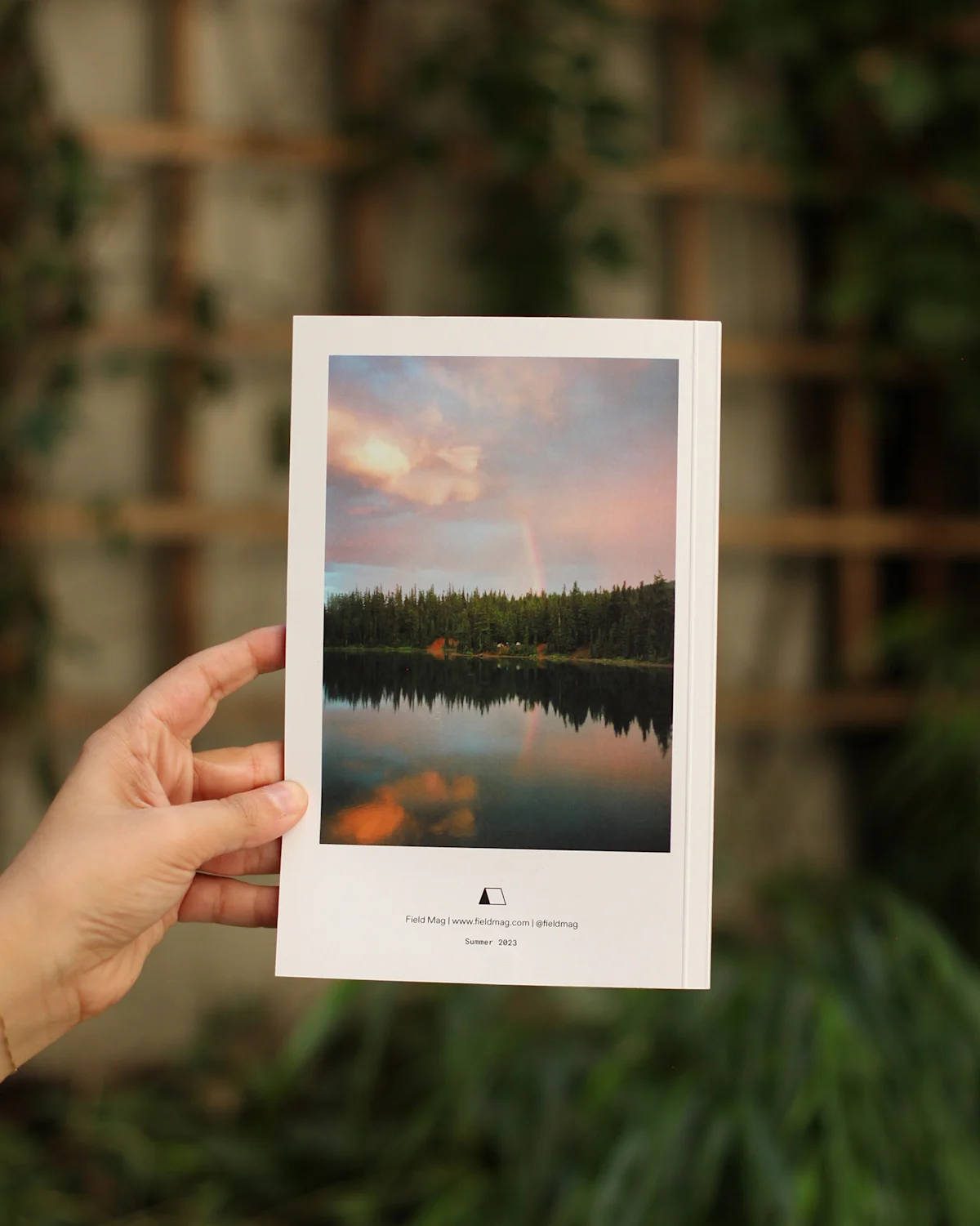 FM01-Summer-Zine-Back-Cover-Garden