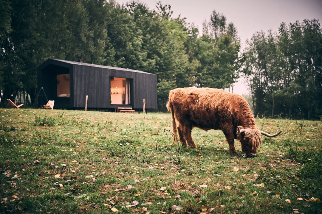 Belgium-Slow-Cabins-Exterior-2