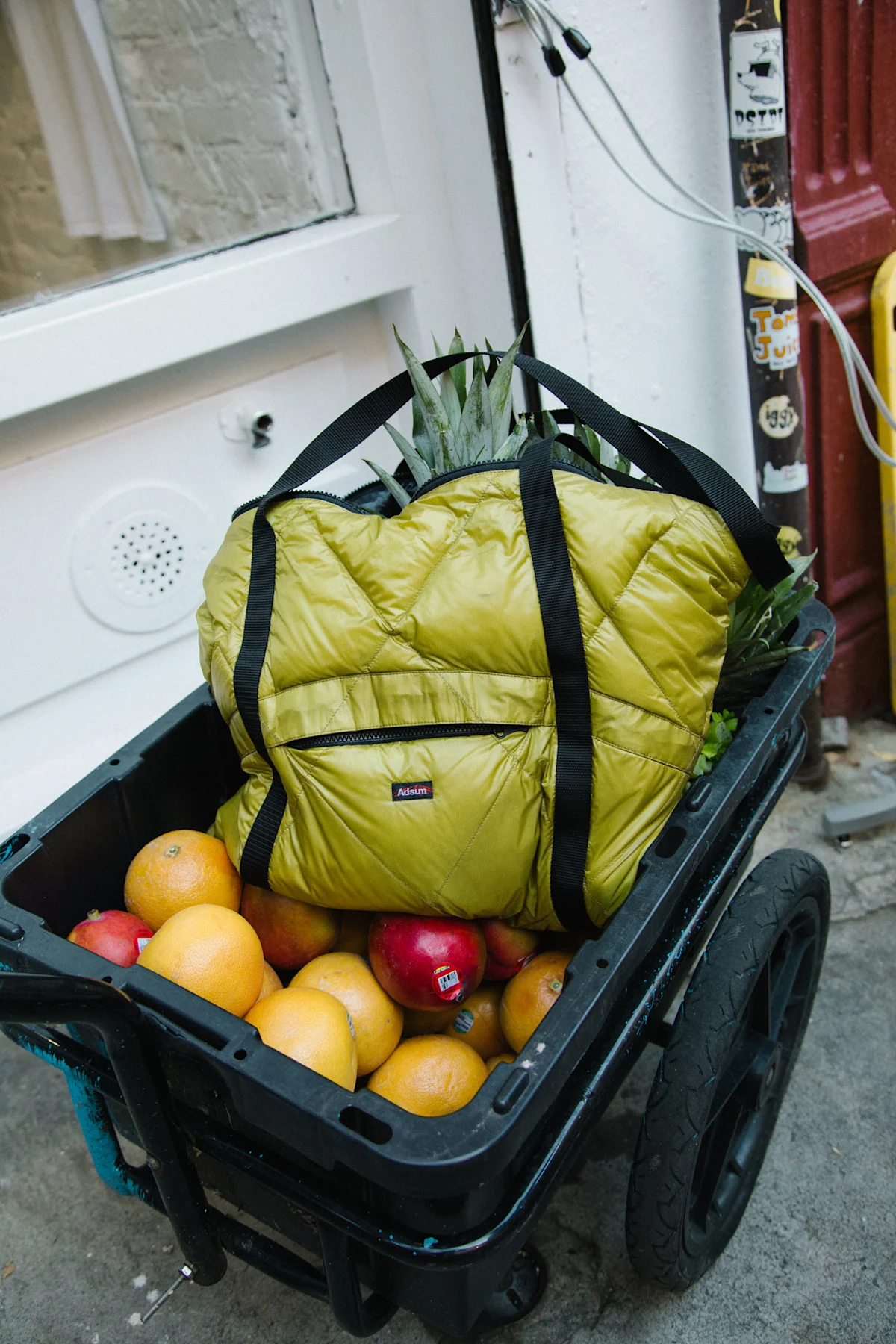 nanga-adsum-shoulder-tote