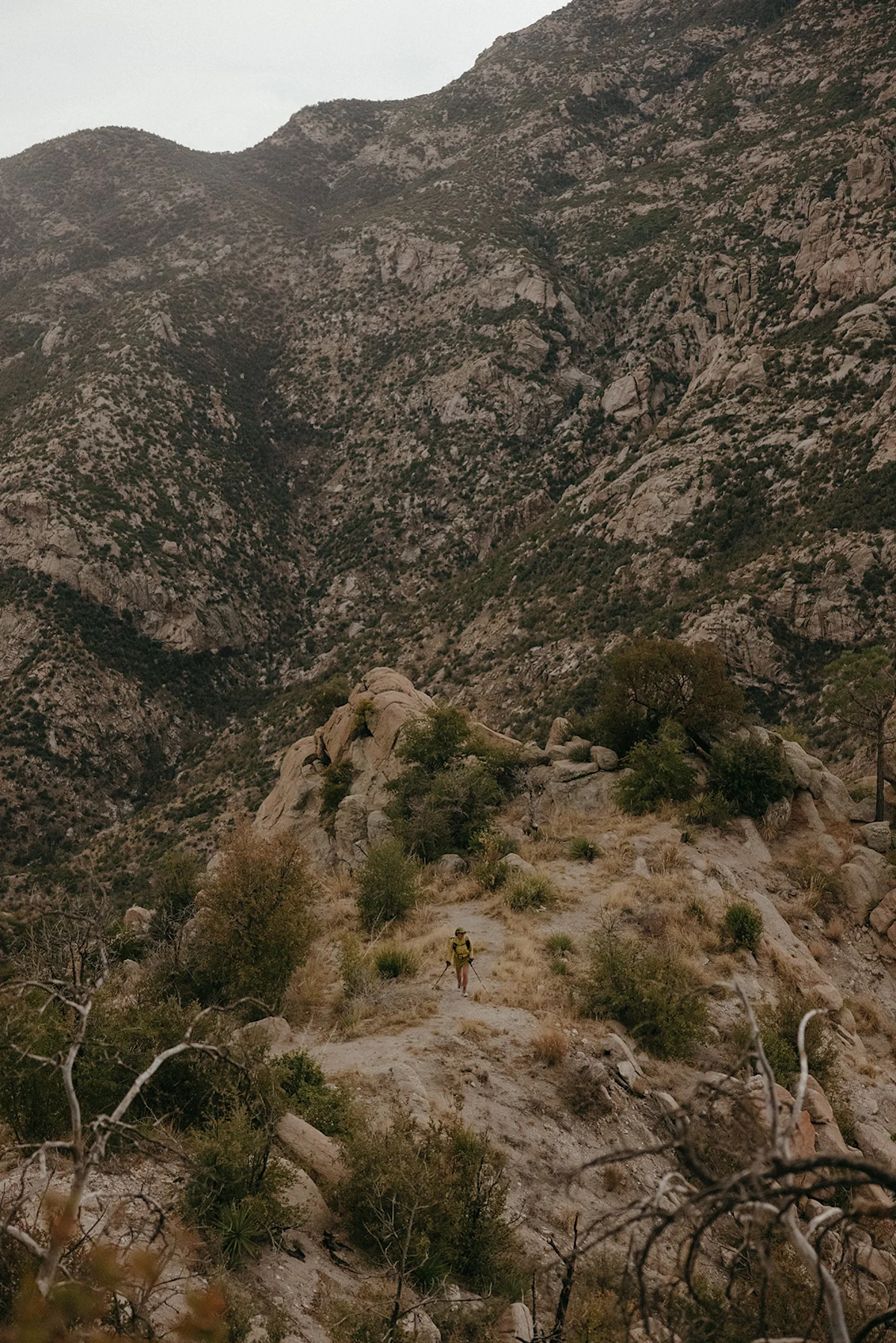Sarah-Attar-Mt-Lemmon-MHW-2