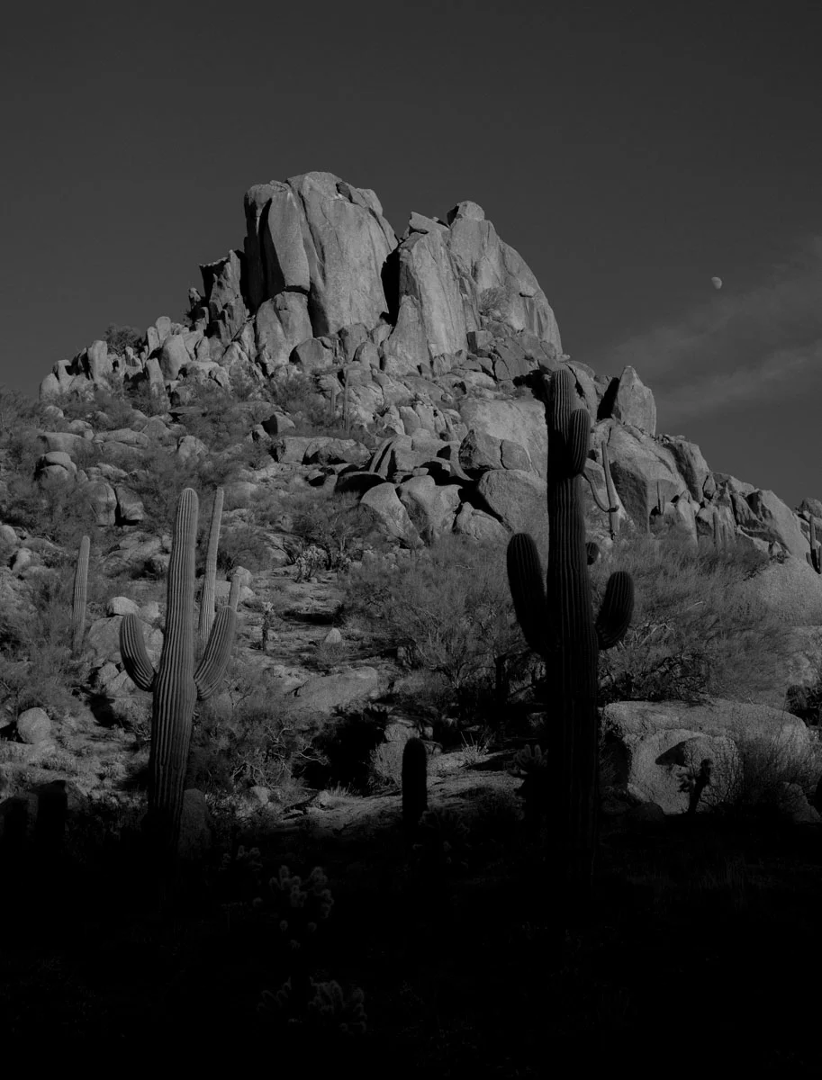 AP-interview-CactusMountain