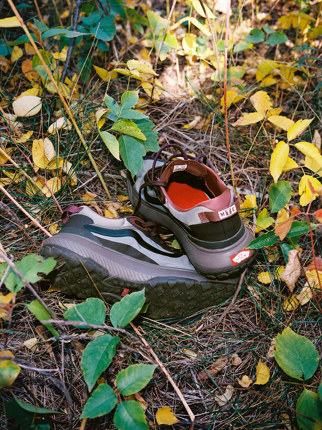 Vans-MTE-Crosspath-CO-1B