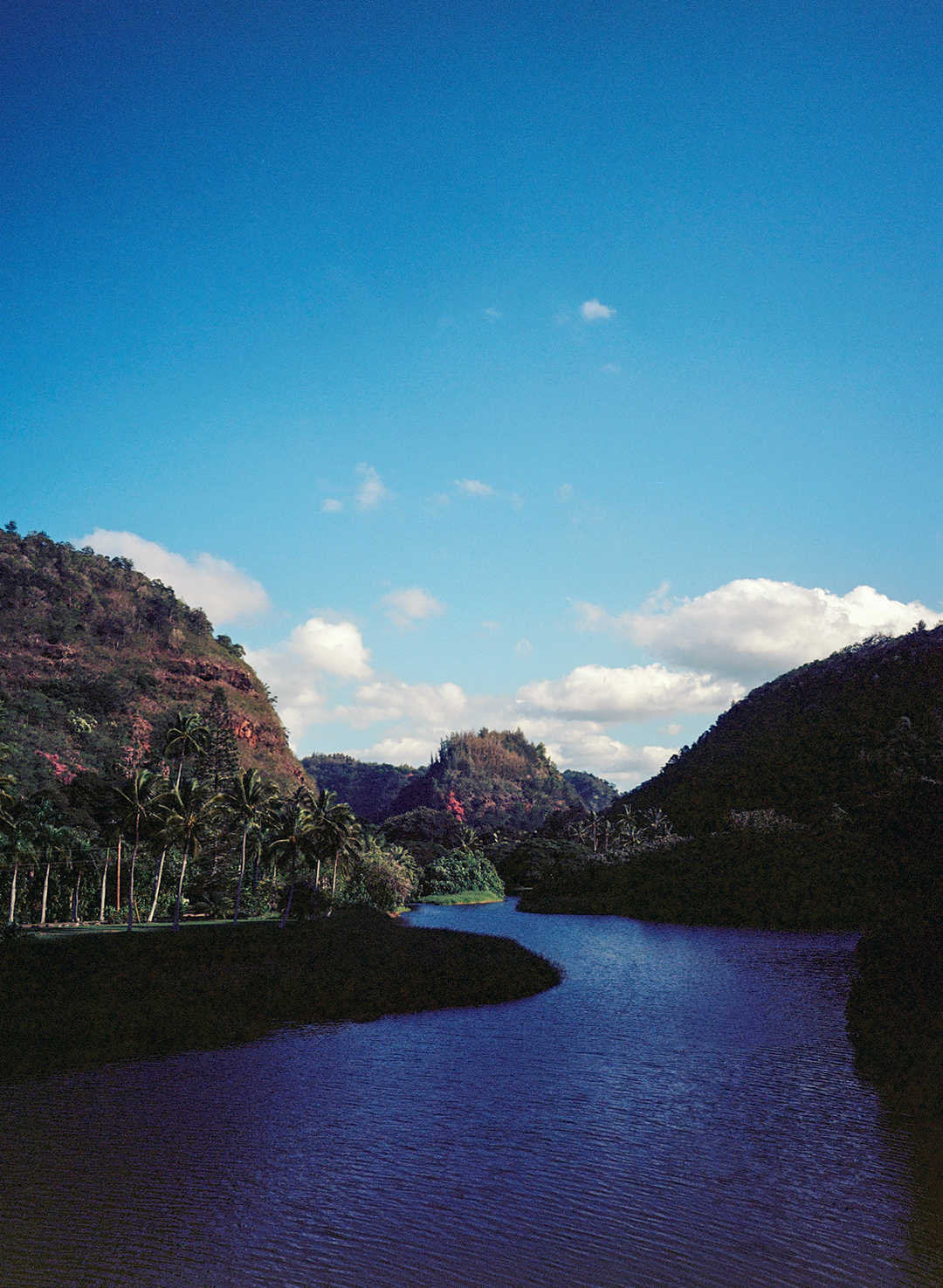 A Glimpse of the Future of Surfing at Vans Pipe Masters Field Mag