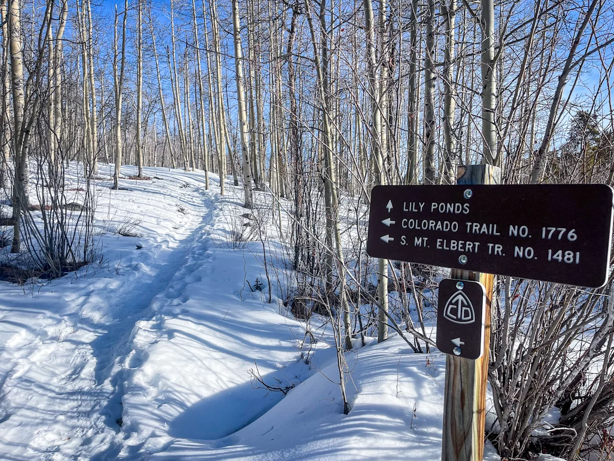 Haley-Moore-Mount-Elbert-Winter-Trail-Start