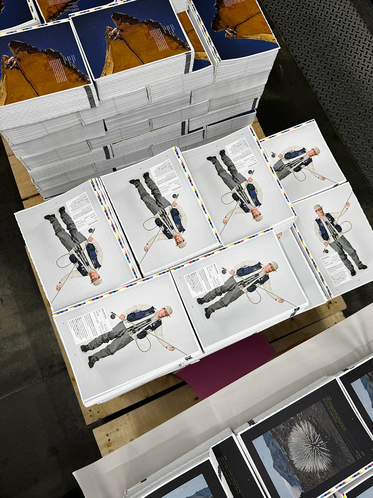 FM01 Printing FlyFIsh