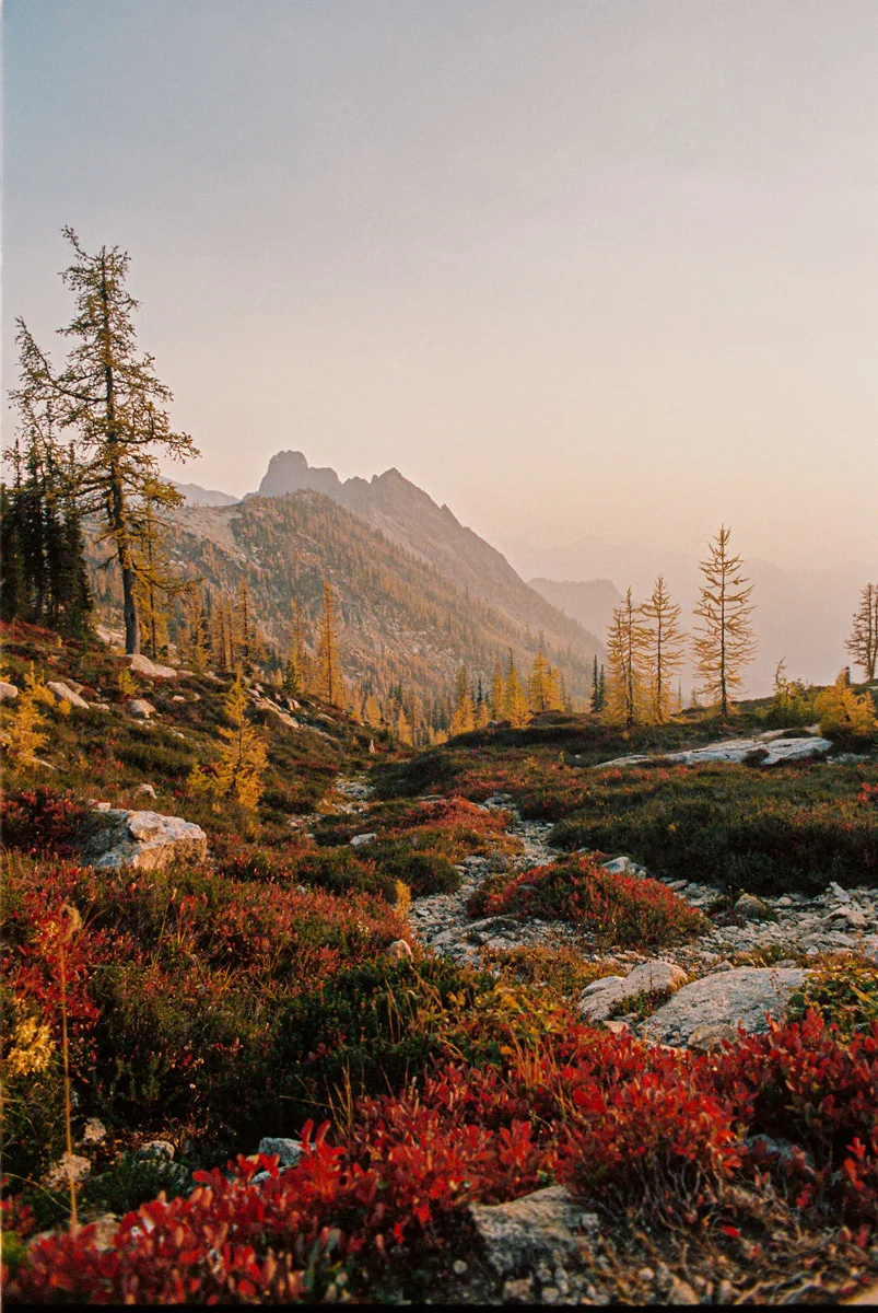Christie-FitsPatrick-north-cascades-larches-31