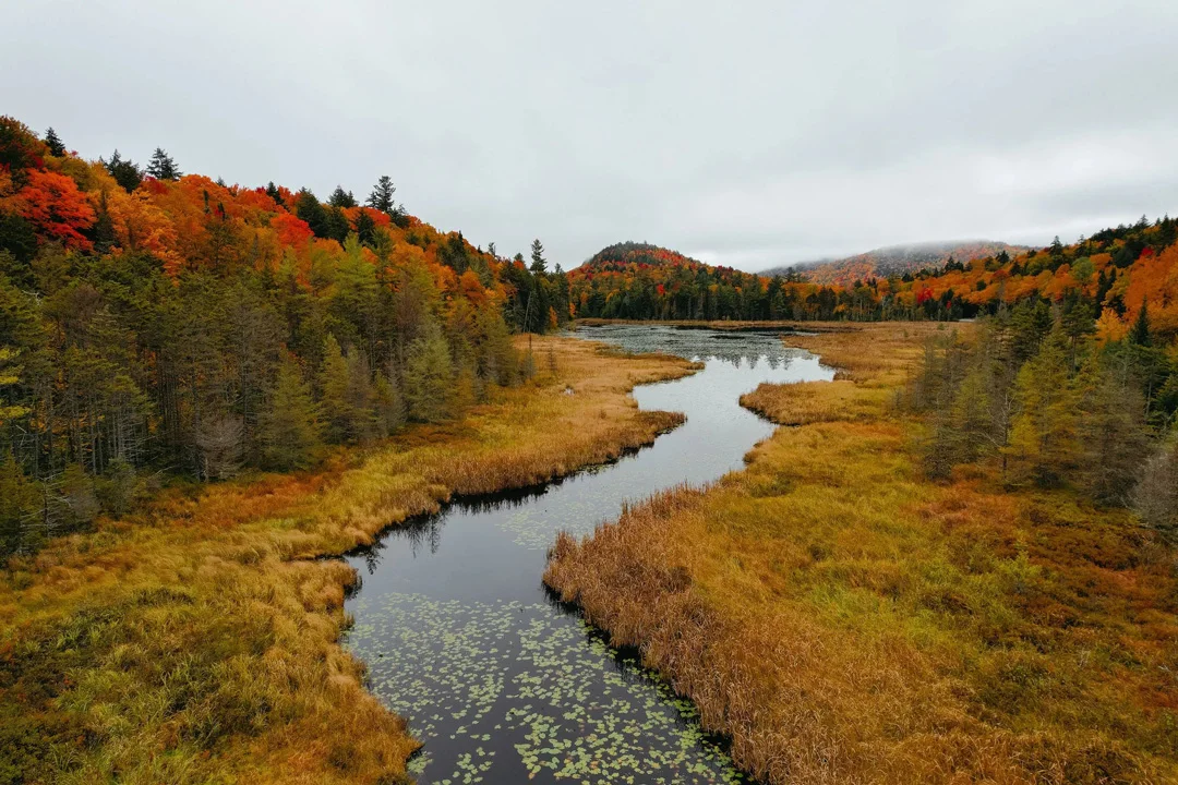 eastwind-hotel-and-bar-lake-placid-new-york-nature