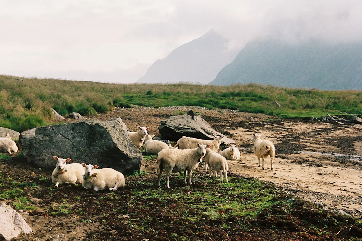 christie-fitzpatrick-norway-friluftsliv-photo-essay-8