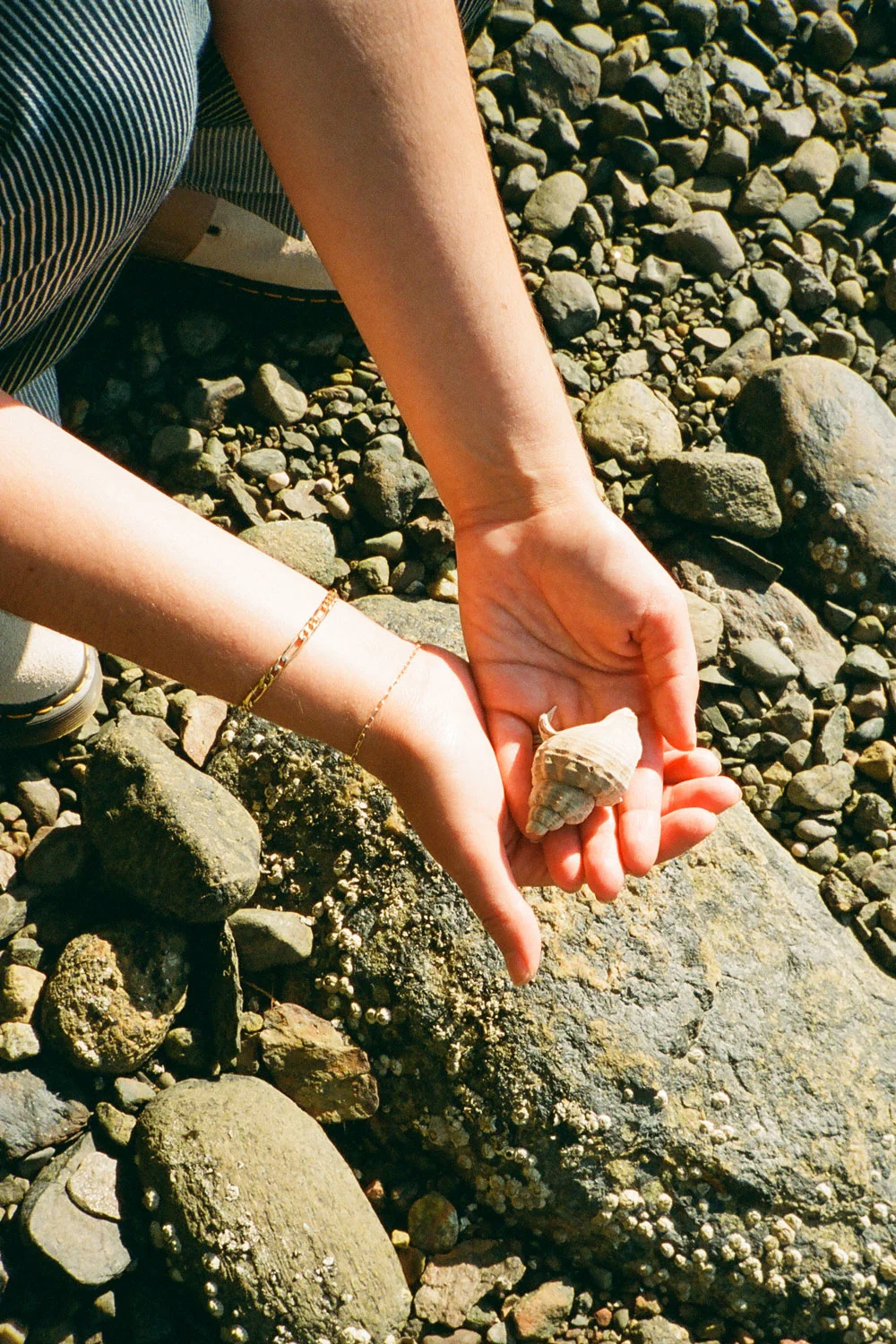 matt-steindl-monhegan-island-9