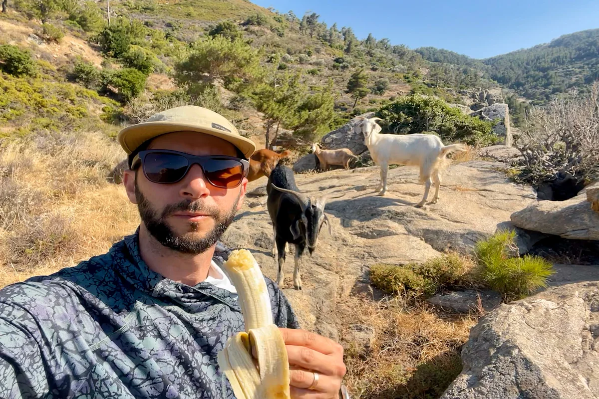 Tzelnic-mount-to-coast-trail-runner-goats