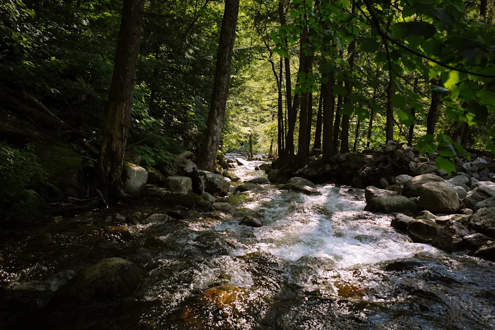 Inside the Orvis Rod Factory, a Hub of American Fly Fishing Innovation