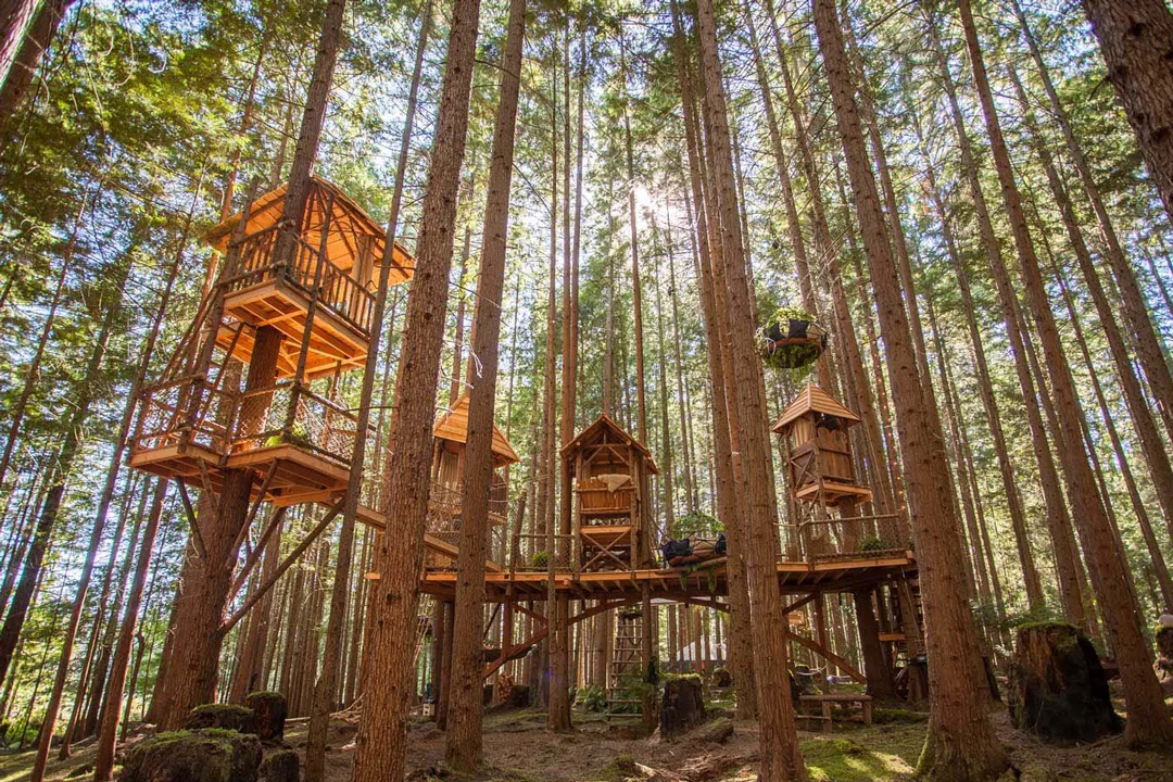 emerald-forest-treehouse-redmond-washington