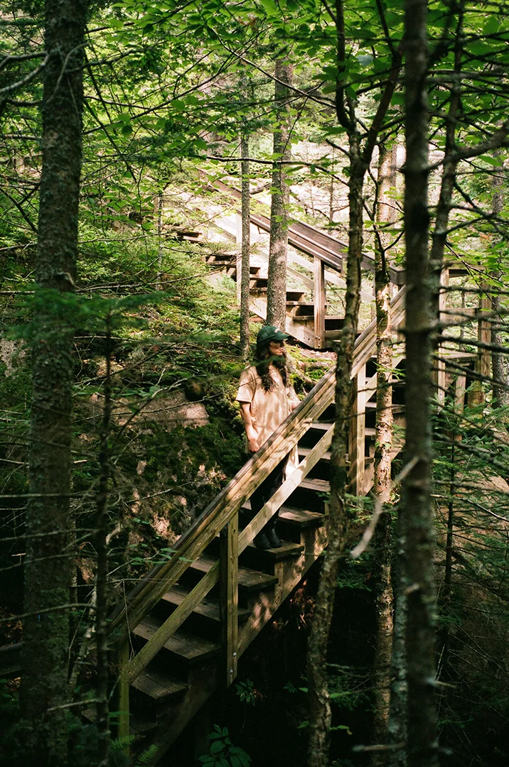 matt-steindl-maine-woods