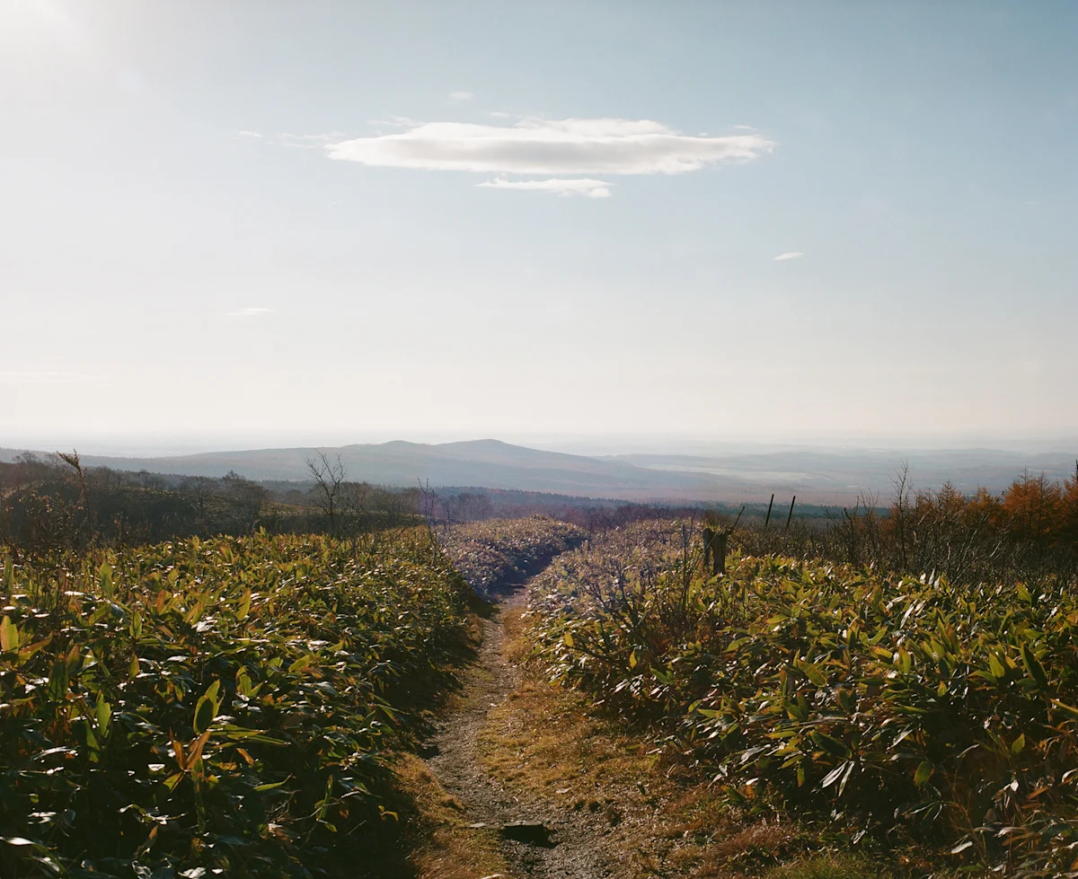sam-godin-hokkaido-east-trail-KCT-Ridgeline