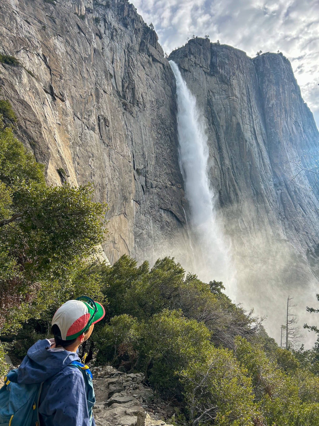 One Epic Road Trip Through California's Best State and National Parks