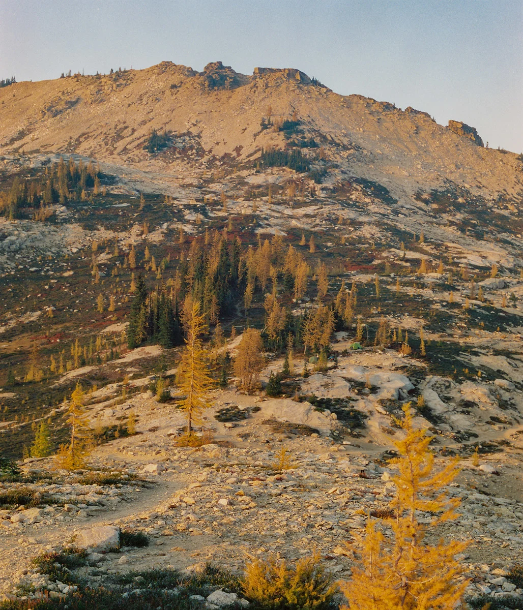 Christie-FitsPatrick-north-cascades-larches-12