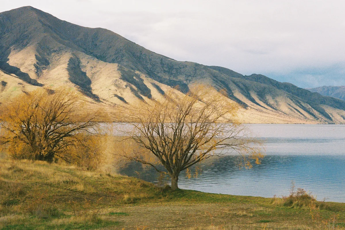 thomas-loach-new-zealand-south-island-2