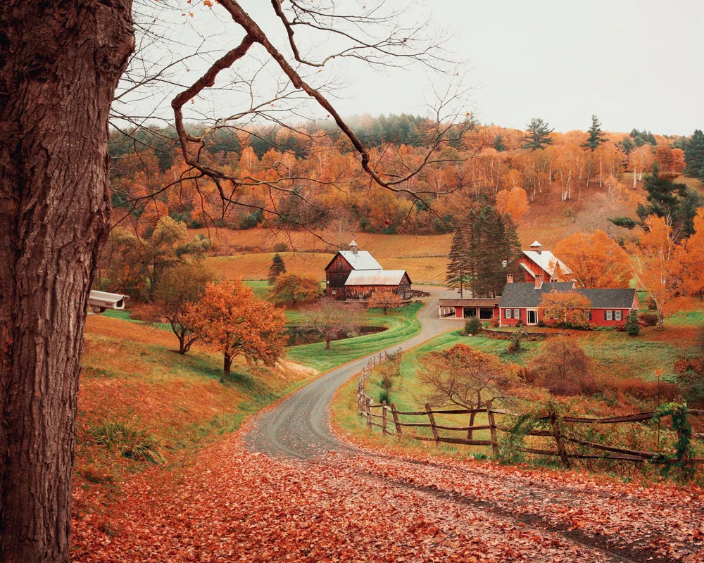 joe-greer-interview-autumn-farm