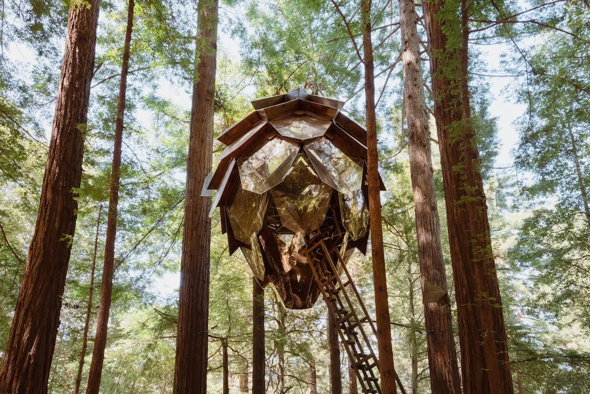 bay-area-glamping-pinecone-exterior