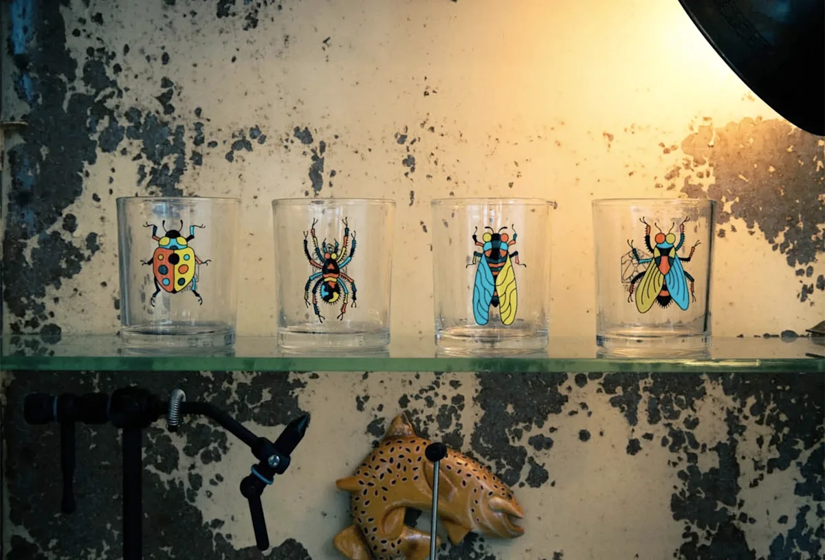 housefly-only-bug-glasses