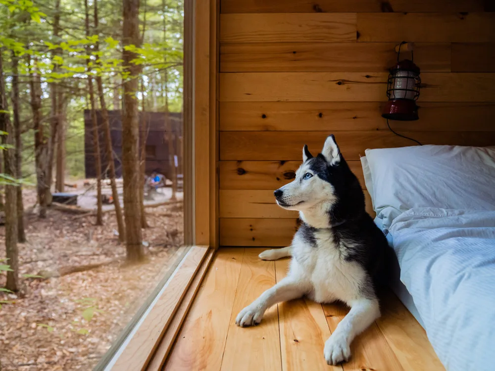 Getaway-Cabin-Rental-Austin-Texas-Fieldmag-6