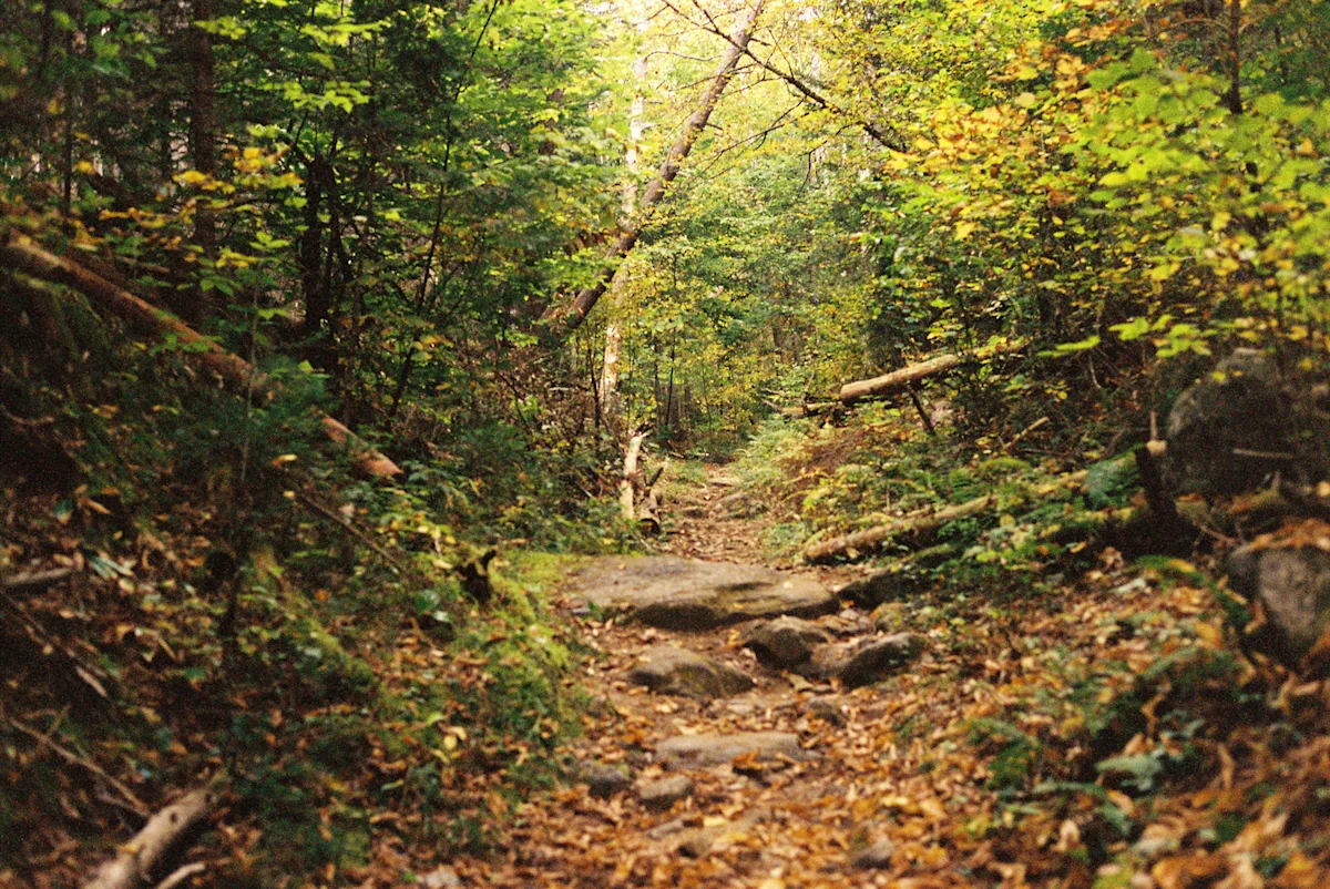 adk-packraft-trail
