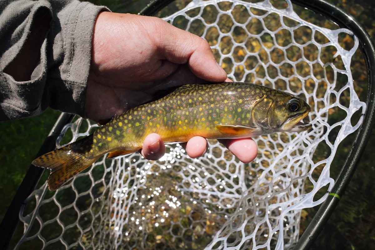 tahoe-orvis-deuter-1