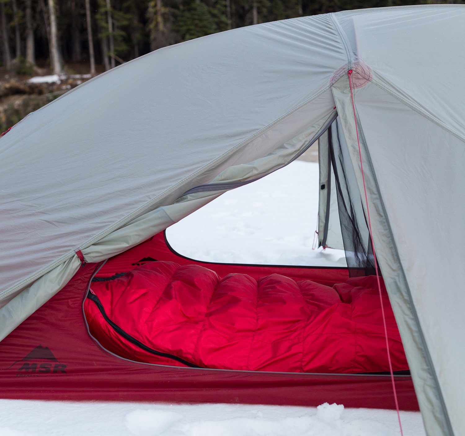 Best Tent for Backpacking - MSR FreeLite 3 Review | Field Mag