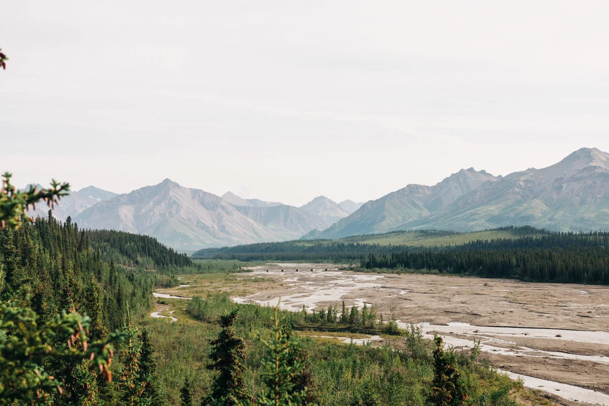 karthika gupta denali camping toklat river