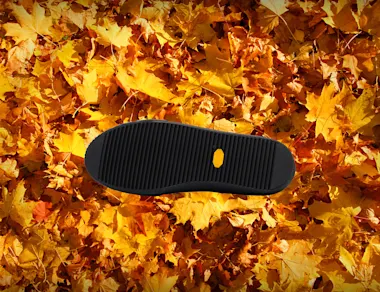Limited Edition Ranger Lo S, $130
