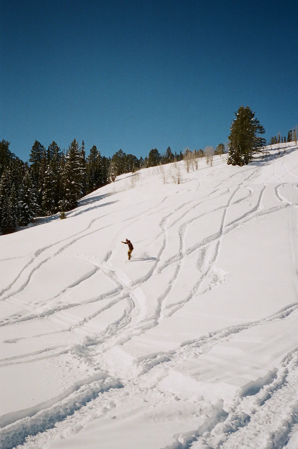 Vans-Snow-Days-Pow-Surf-8