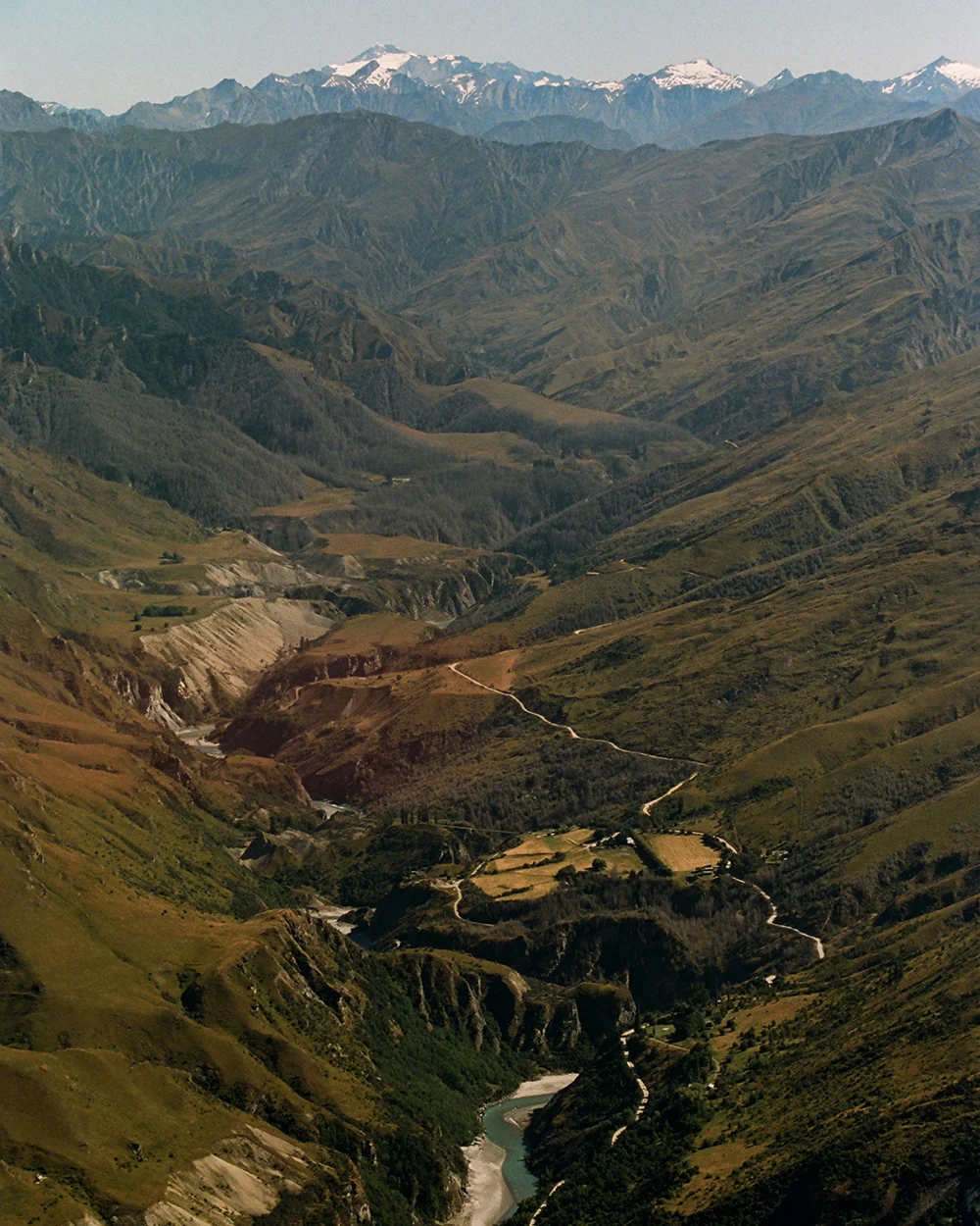 Spencer-Wells-New-Zealand-12-Fieldmag