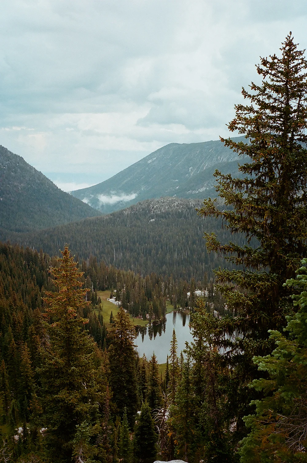 Hiemstra-Hike-2019-Elkhorns-Fieldmag-11