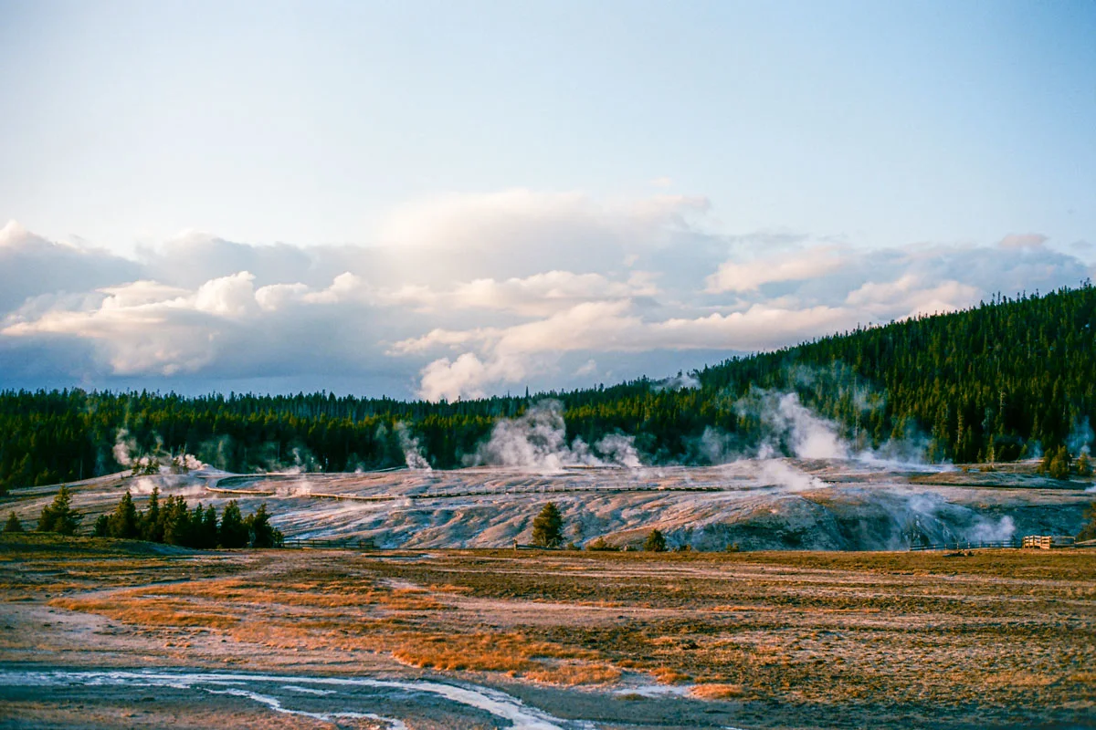 luis-ortega-yellowstone-field-11