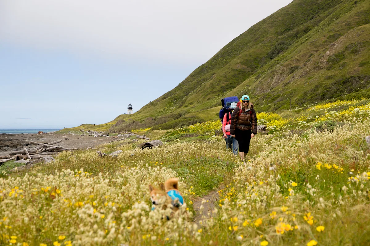 Colton-Jacobs-Lost-Coast-8