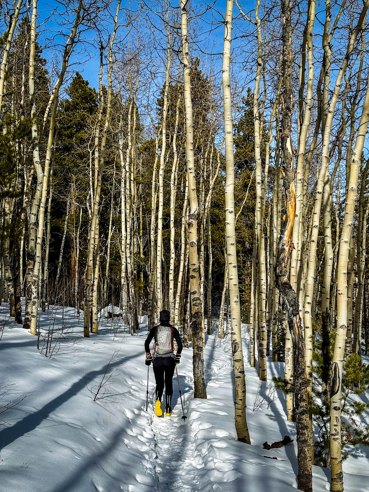 Haley-Moore-Mount-Elbert-Winter-In-Trees