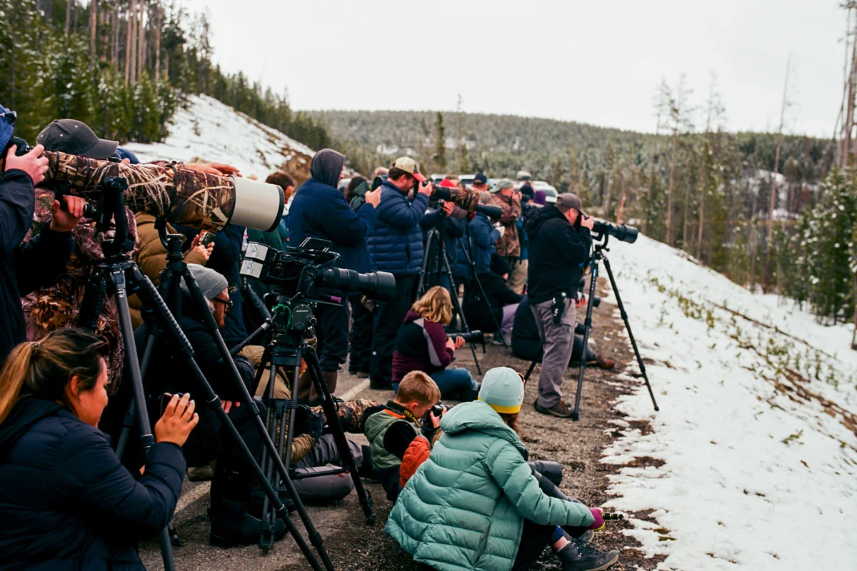 luis-ortega-yellowstone-photographers-9