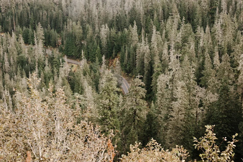 Mt. Baker's Artist Point by Bike
