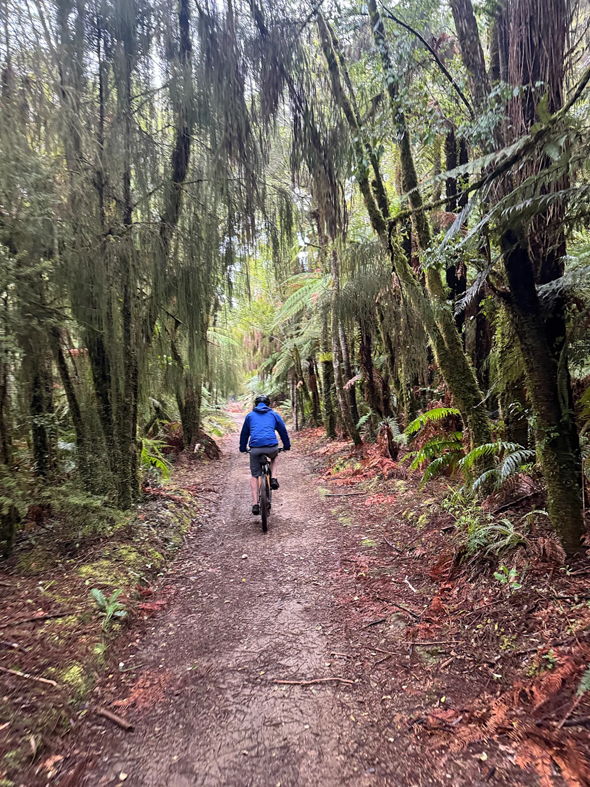daniel-varghese-timber-trail-day-two-cycling-vertical