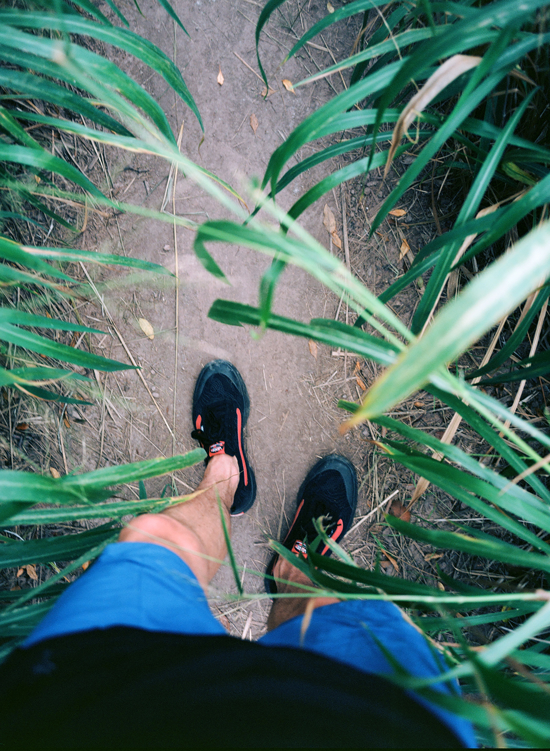 A Glimpse of the Future of Surfing at Vans Pipe Masters Field Mag