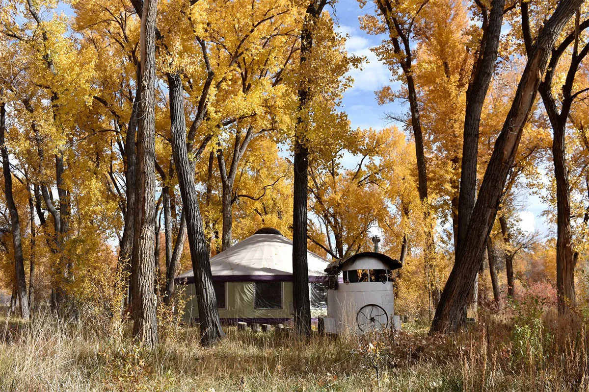 colorado-glamping-list-14-woodland-yurt-paonia
