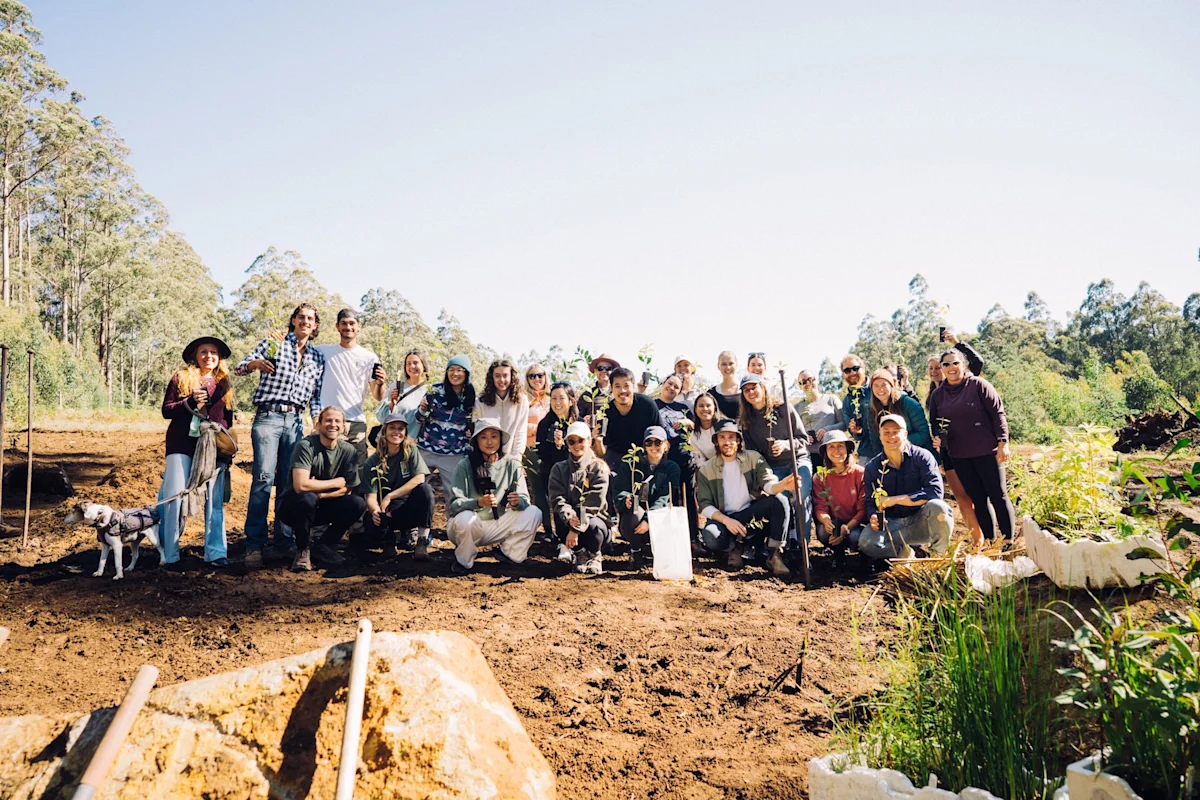 zorali-brand-profile-tree-planting-event