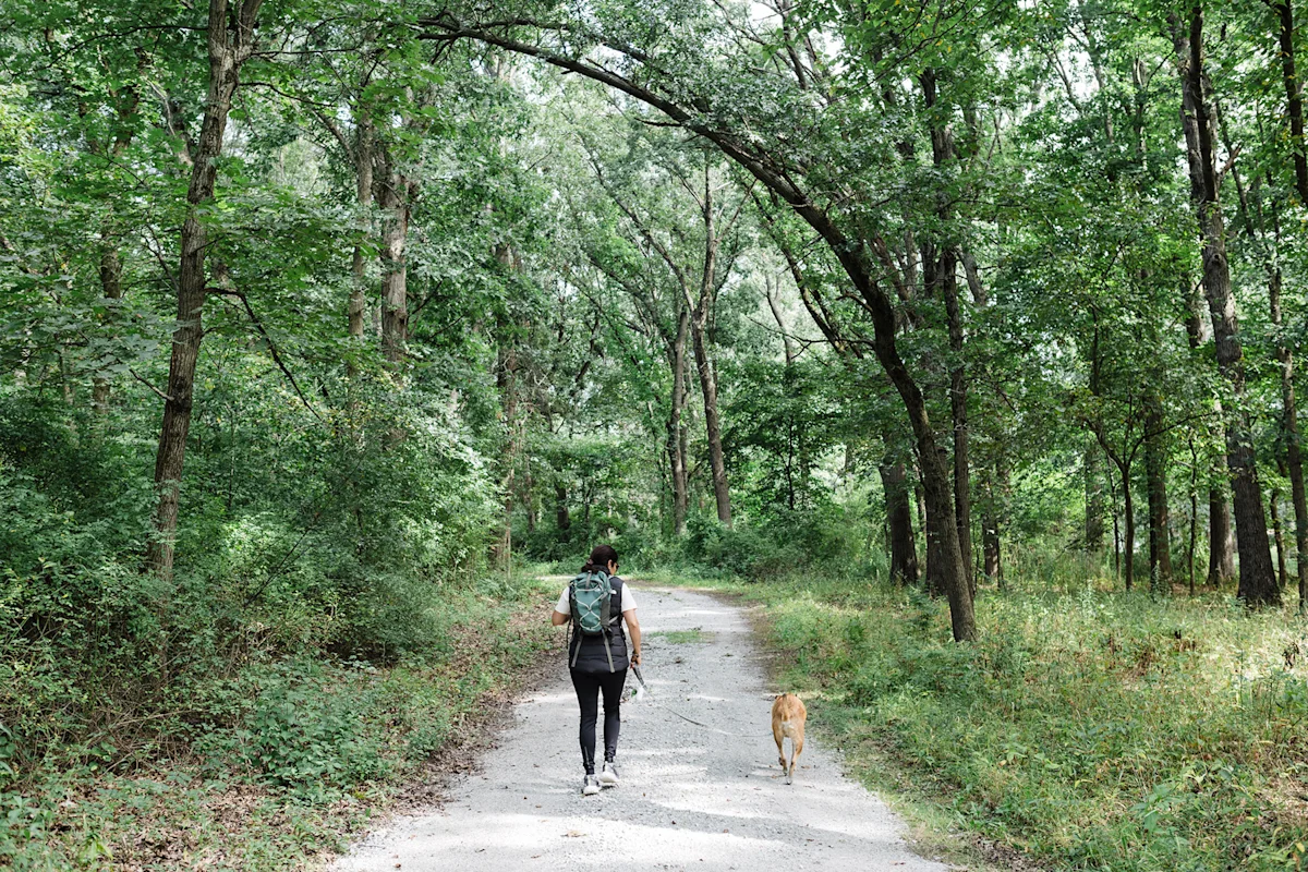 gupta-chicago-outerbelt-guide-forest-path